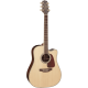 Takamine GD71CE-NAT Electro