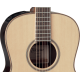 Takamine GY93CENAT Electro