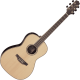 Takamine GY93CENAT Electro