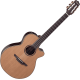 Takamine DN65C