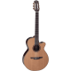 Takamine DN65C