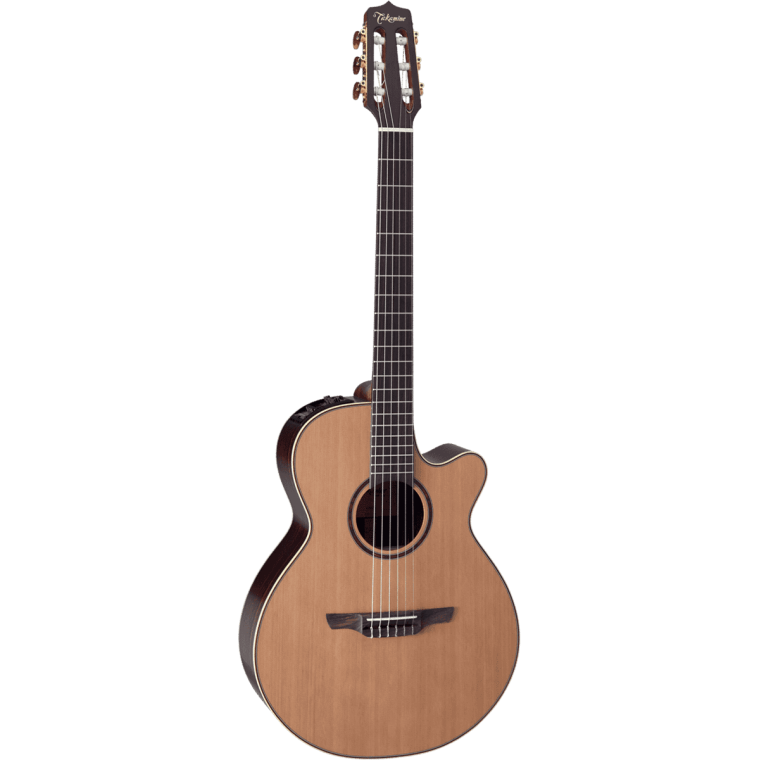 Takamine DN65C